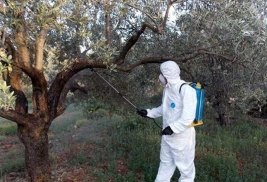 957 προσλήψεις στο πρόγραμμα δακοκτονίας