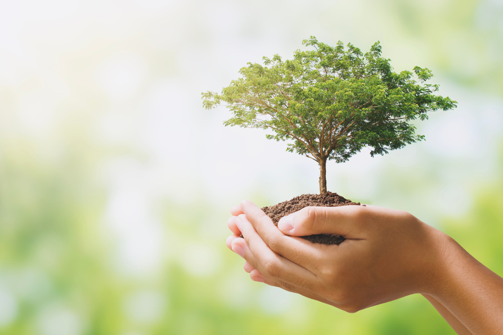 Attica Green Expo: Ξεκινά το μεγαλύτερο Eco Meet της χώρας