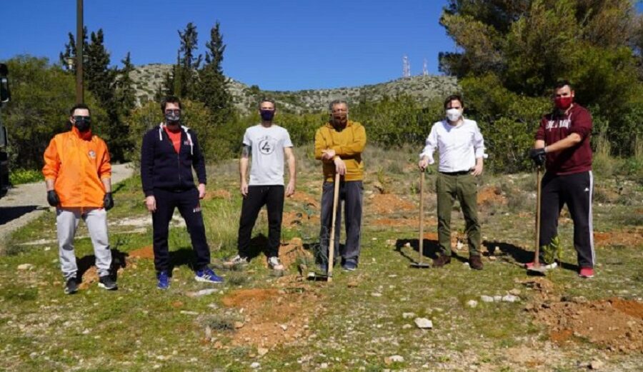 Δήμος Χαϊδαρίου: Μεγάλη δράση δενδροφύτευσης