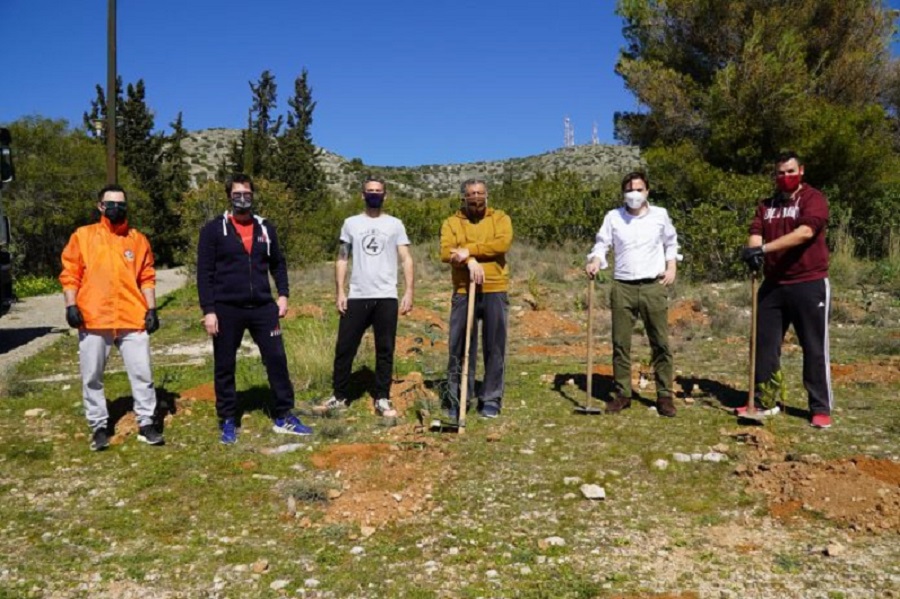 Δήμος Χαϊδαρίου: Μεγάλη δράση δενδροφύτευσης