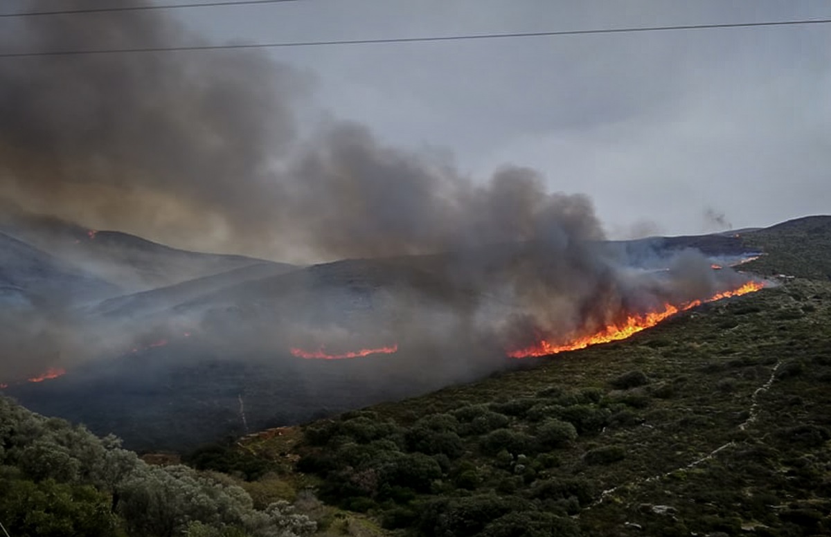 ΚΕΔΕ: Τηλεδιάσκεψη με Χρυσοχοΐδη-Χαρδαλιά για την αντιπυρική περίοδο