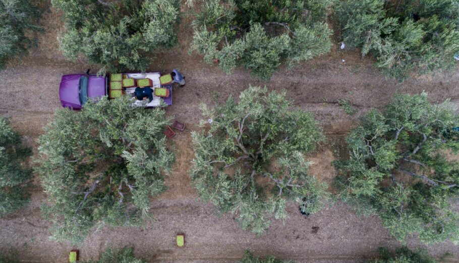 Αγρότες © Eurokinissi