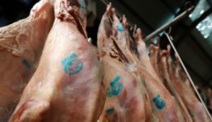 Πάσχα 2025: Πόσο πωλούνται αρνιά και κατσίκια