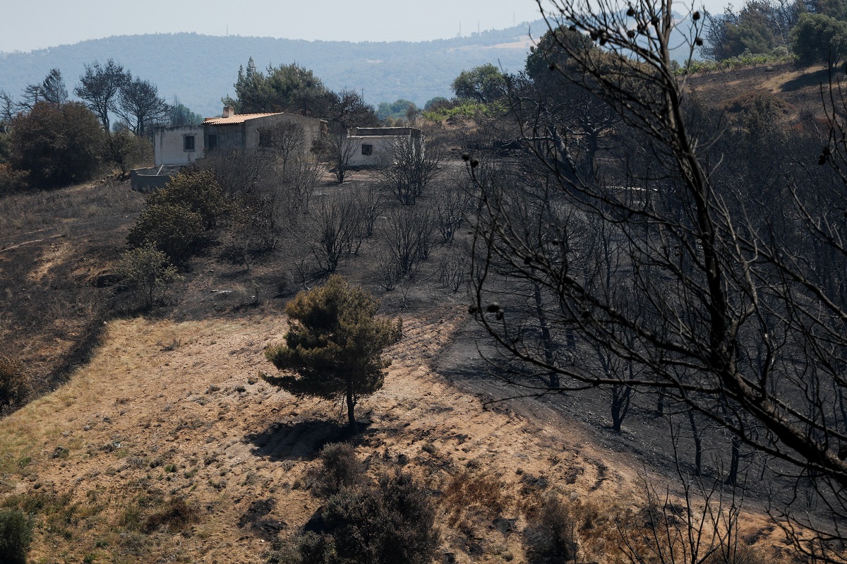 Αναζωπυρώσεις στα Γεράνεια Όρη – Κυβερνητικό κλιμάκιο στο Αλεποχώρι