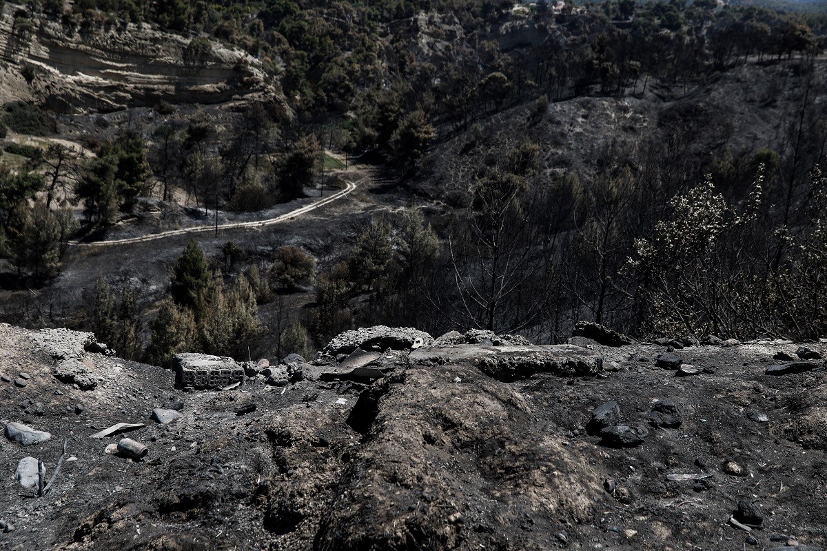 Φωτιά σε Σχίνο: Πακέτο μέτρων για τη στήριξη των πυρόπληκτων