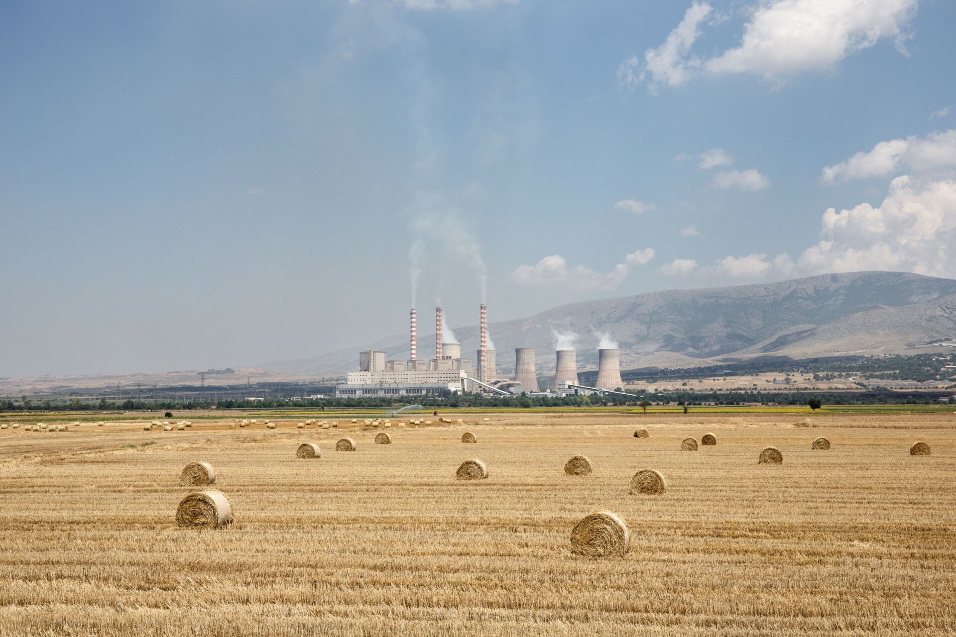 Δ. Μακεδονία: Εργοστάσιο γάλακτος, 2.000 νέοι αγρότες και 700 εκατ. στο ΑΕΠ