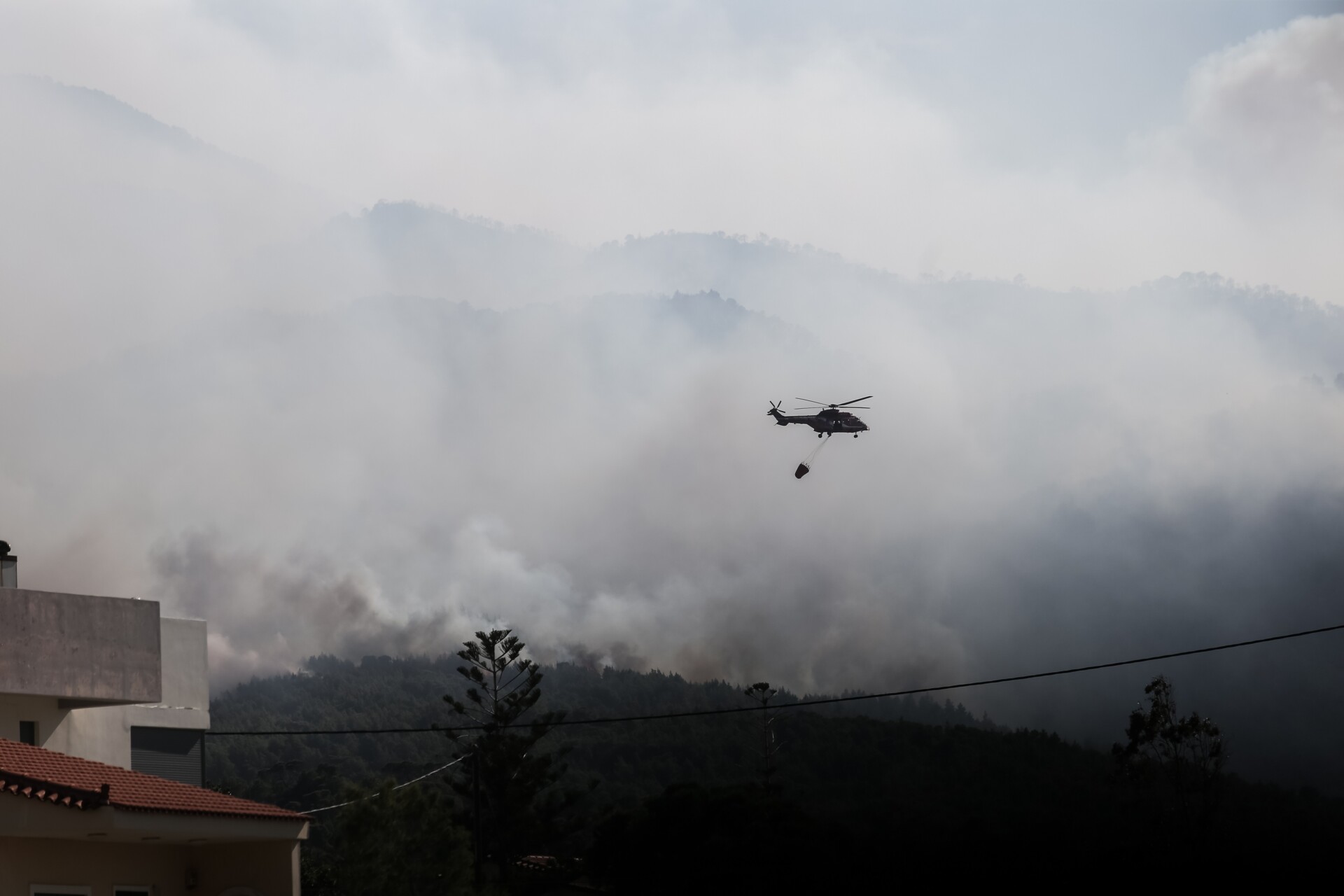 Φωτιά στο Βασιλίτσι ©Eurokinissi