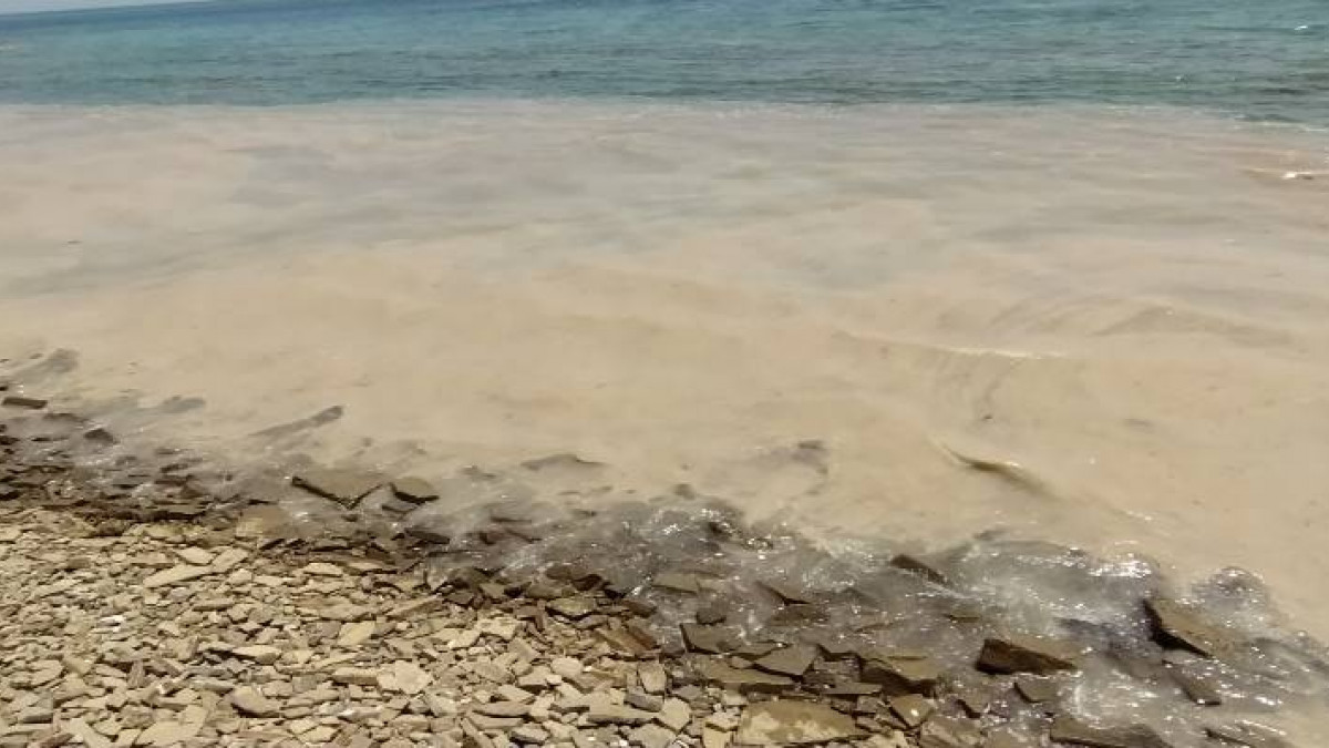 Επιθεωρητές περιβάλλοντος στη Λήμνο για τη θαλάσσια βλέννα