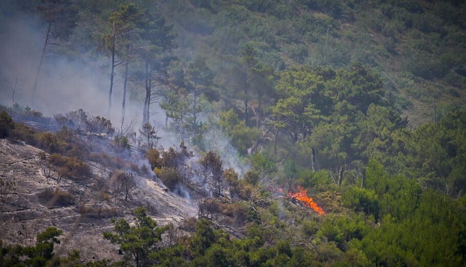 Στις 34 οι πυρκαγιές το τελευταίο 24ωρο ©EUROKINISSI