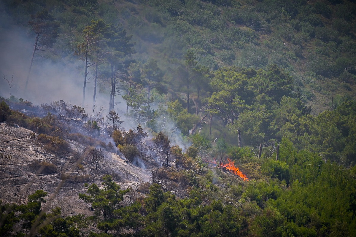 Στις 34 οι πυρκαγιές το τελευταίο 24ωρο ©EUROKINISSI