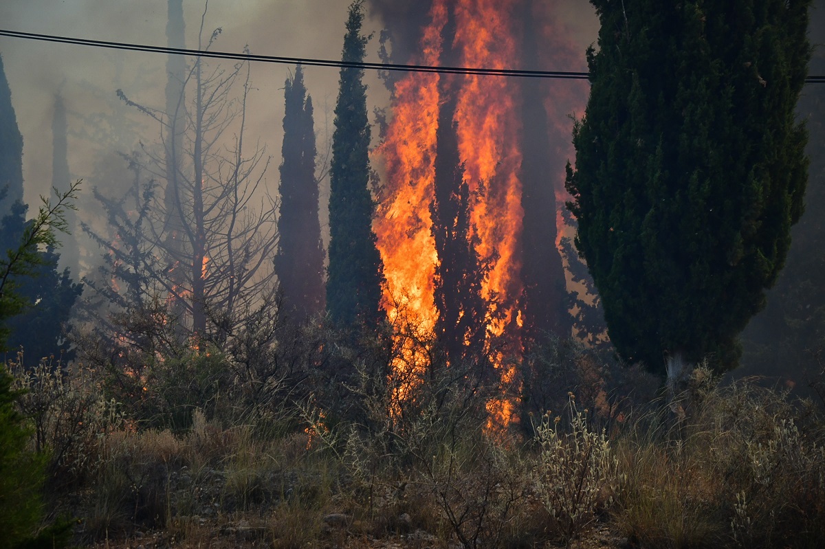 Πυρκαγιά σε εξέλιξη κοντά σε κατοικημένη περιοχή στην Αχαϊα© EUROKINISSI