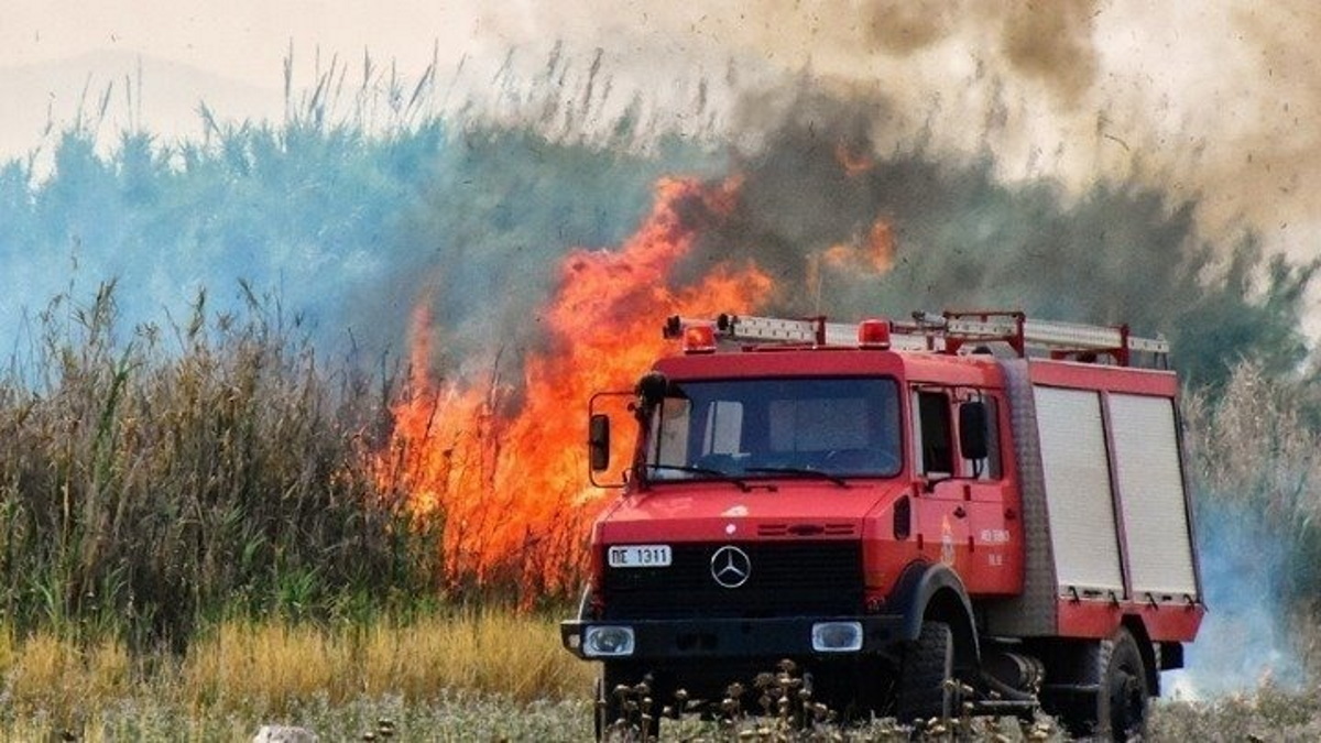 Πύργος: Νέα φωτιά στην περιοχή Μιράκα του δήμου Αρχαίας Ολυμπίας