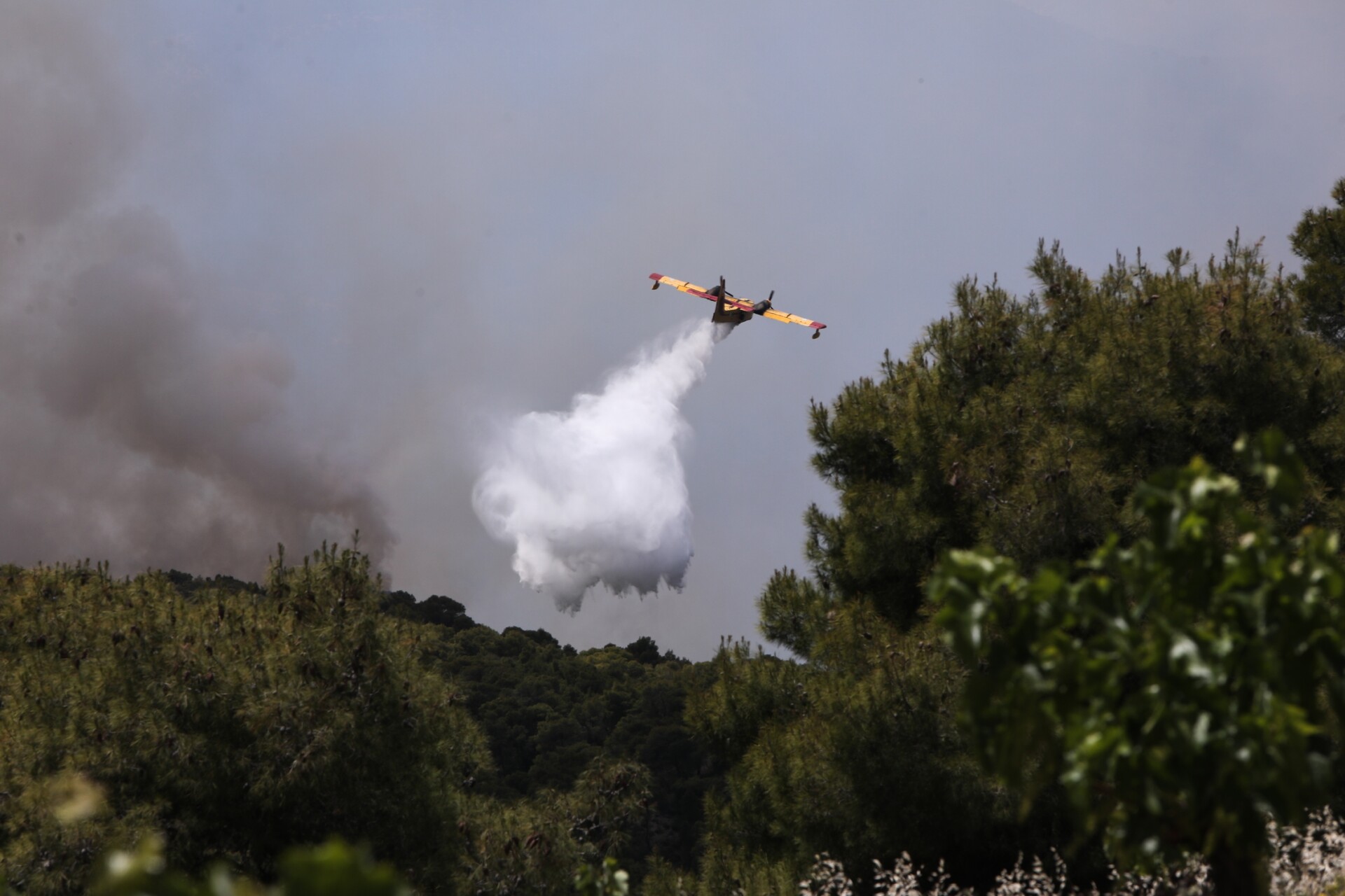 Κεφαλονιά: Σε εξέλιξη η πυρκαγιά- Εκκενώνεται η περιοχή Καπανδρίτι