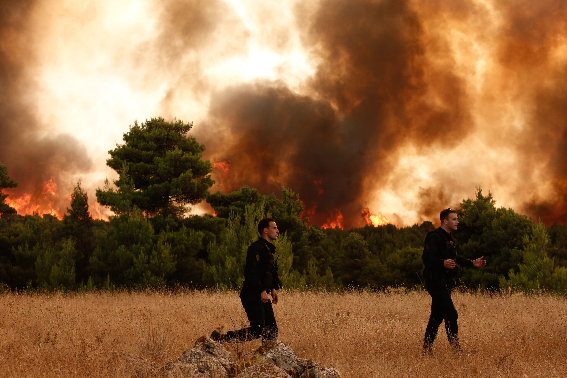 Απαγόρευση κυκλοφορίας σε δάση και άλση μέχρι την Δευτέρα