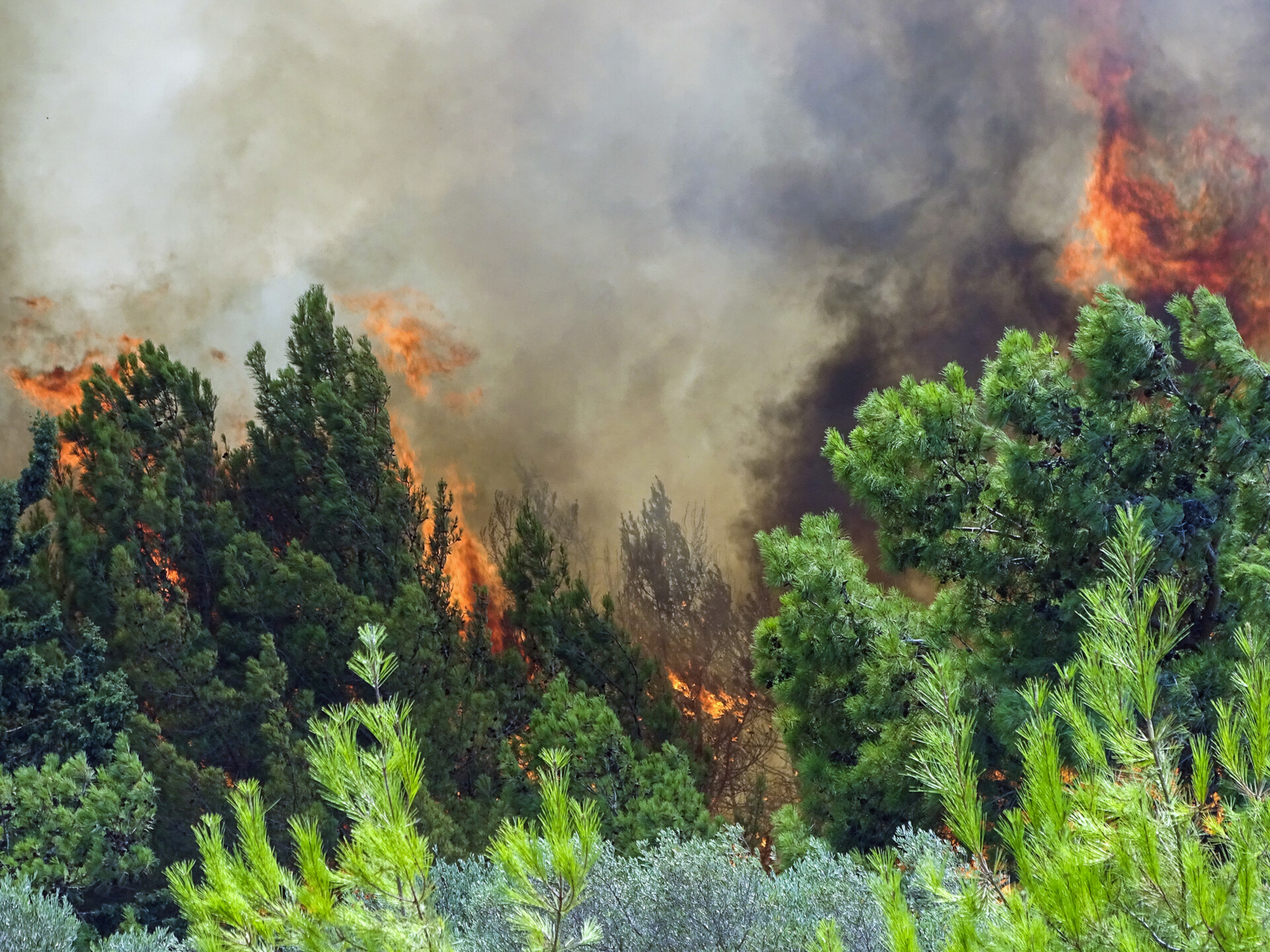 Απαγόρευση κυκλοφορίας σε δασικούς δρόμους σε Ρόδο, Κω, Κάρπαθο