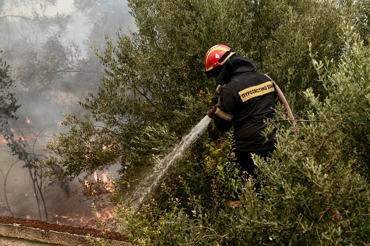 Πυρκαγιά στην Βορειοανατολική Αττική © Eurokinissi