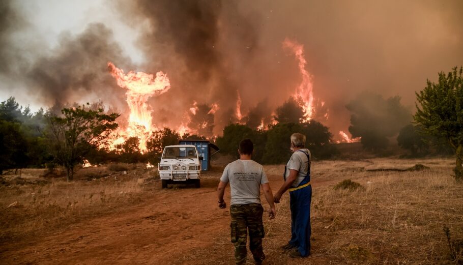 Πυρκαγιά στα Βίλια. ©EUROKINISSI / ΜΙΧΑΛΗΣ ΚΑΡΑΓΙΑΝΝΗΣ