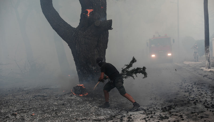 Φωτιά στη Βορειοανατολική Αττικη © Eurokinissi