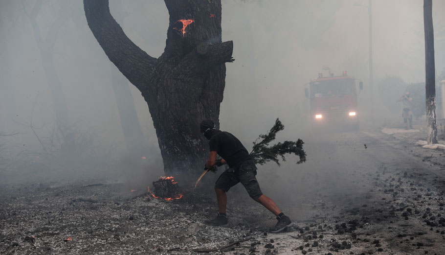 Φωτιά στη Βορειοανατολική Αττικη © Eurokinissi