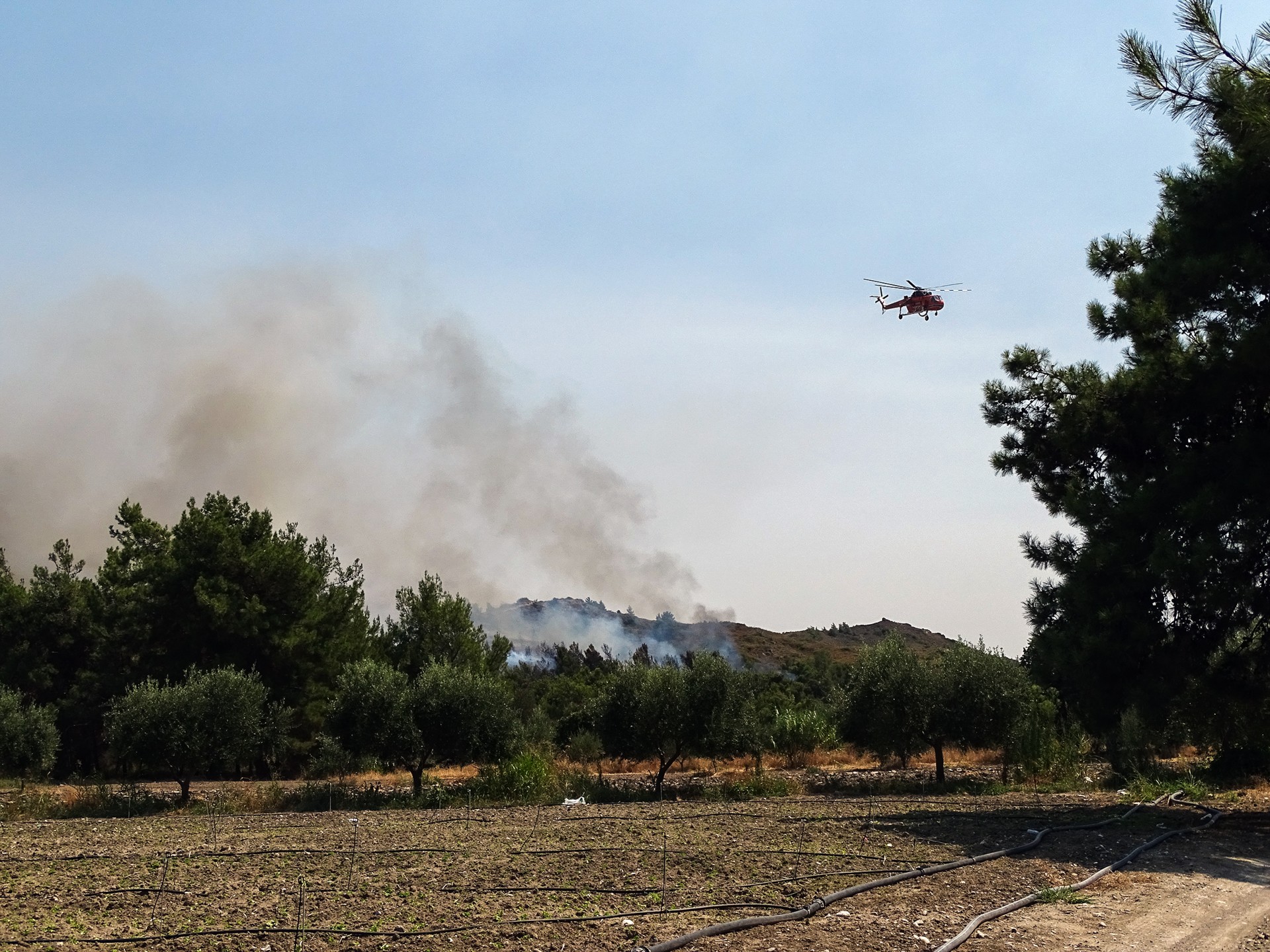Σε ύφεση η πυρκαγιά στη Λευκίμμη Κέρκυρας