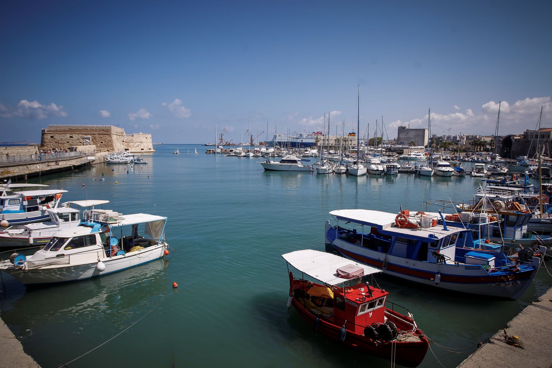 Γέμισε νεκρά ποντίκια το λιμάνι του Ηρακλείου στην Κρήτη