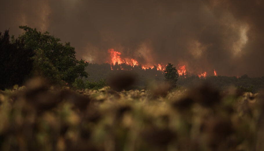 Φωτιές σε Αρχαία Κόρινθο και Εύβοια © Eurokinissi