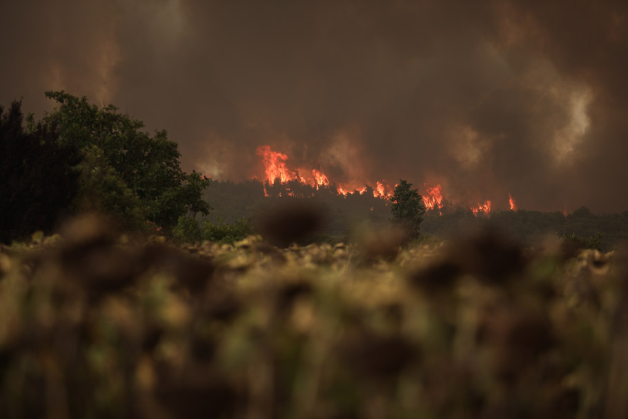 Πυρκαγιά στο Μαντούδι Εύβοιας, Παρασκευή 6 Αυγούστου 2021 © Eurokinissi