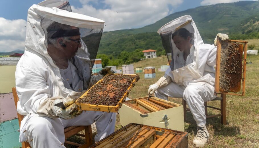 Μελισσοκόμοι-Μέλι © EUROKINISSI