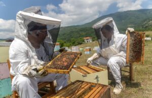 Μέτρα στήριξης 61,6 εκατ. ευρώ για τους μελισσοκόμους