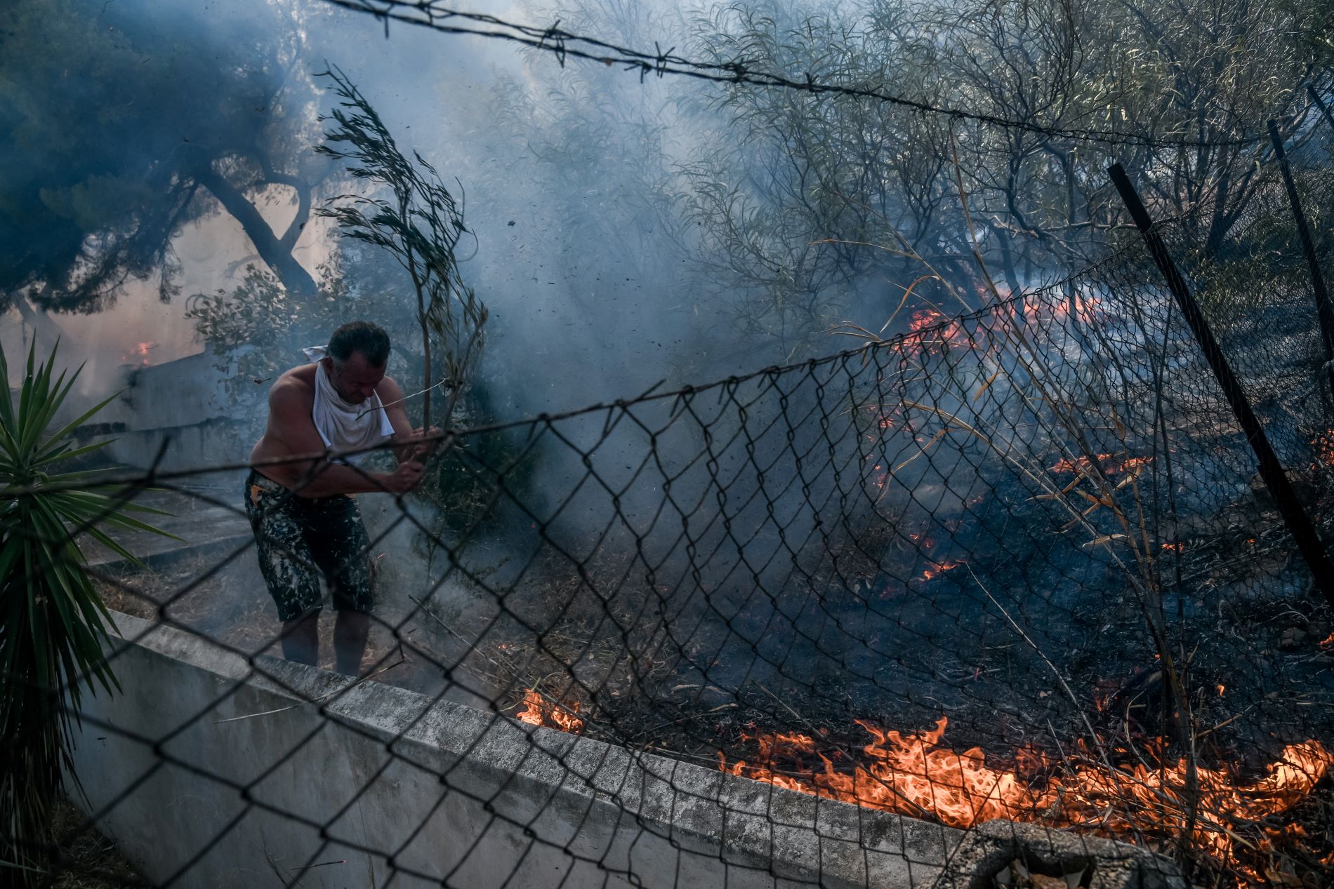 Οδηγίες για τις αιτήσεις αποζημίωσης στους πυρόπληκτους