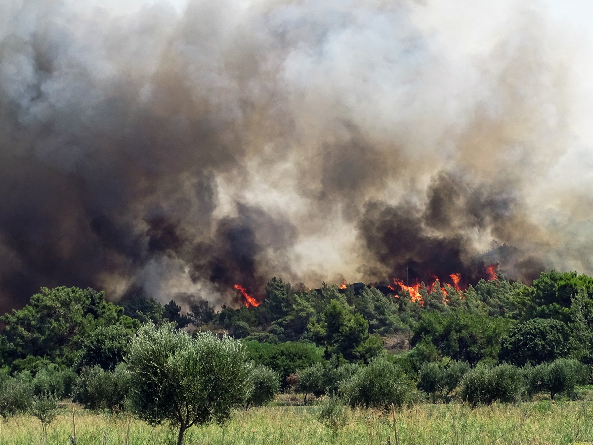 Ρόδος: Ακραίος κίνδυνος πυρκαγιάς – Μήνυμα από το 112