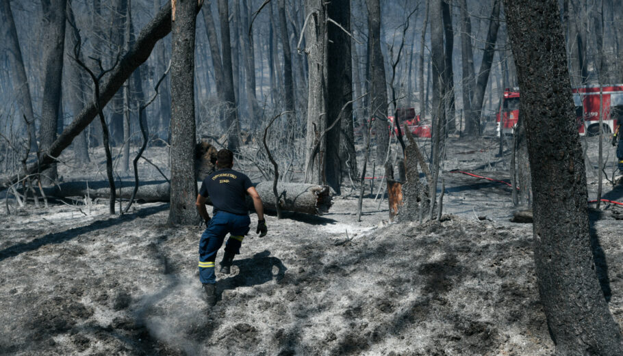 Η επόμεη ημέρα από τη φωτιά στην Β. Αττική Στιγμιότυπο από τη Βαρυμπόμπη Πηγή: Eurokinissi