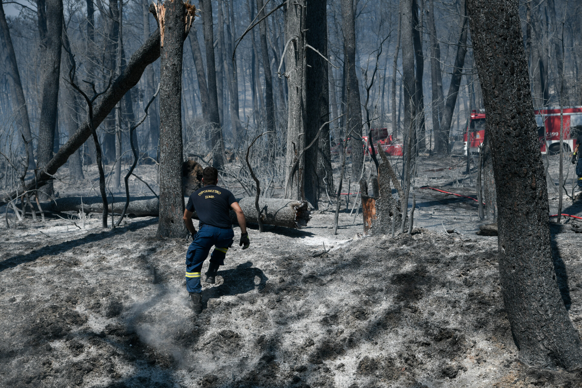 Η επόμεη ημέρα από τη φωτιά στην Β. Αττική Στιγμιότυπο από τη Βαρυμπόμπη Πηγή: Eurokinissi