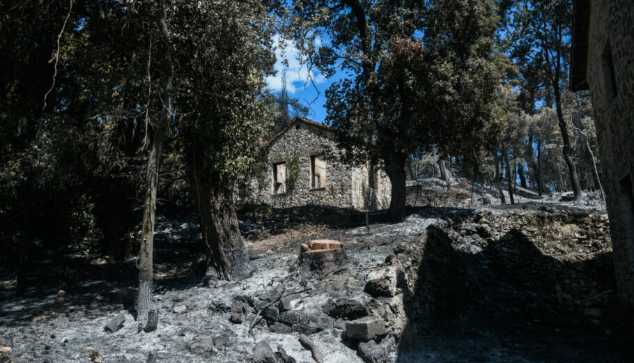 Καταστροφές από την πυρκαγιά στα πρώην βασιλικά κτήματα στο Τατόι Πηγή: eurokinissi