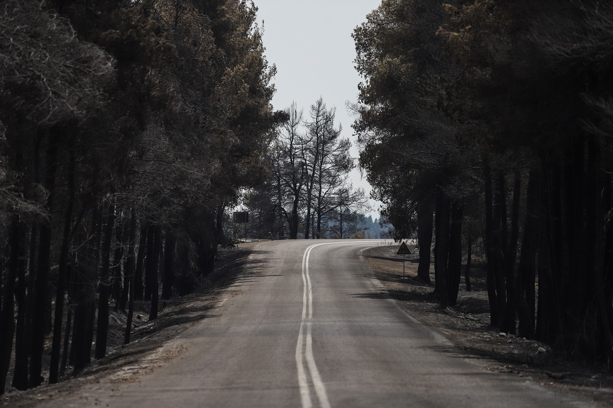 Οι πυρκαγιές έκαψαν το 16% των δασών της Αττικής