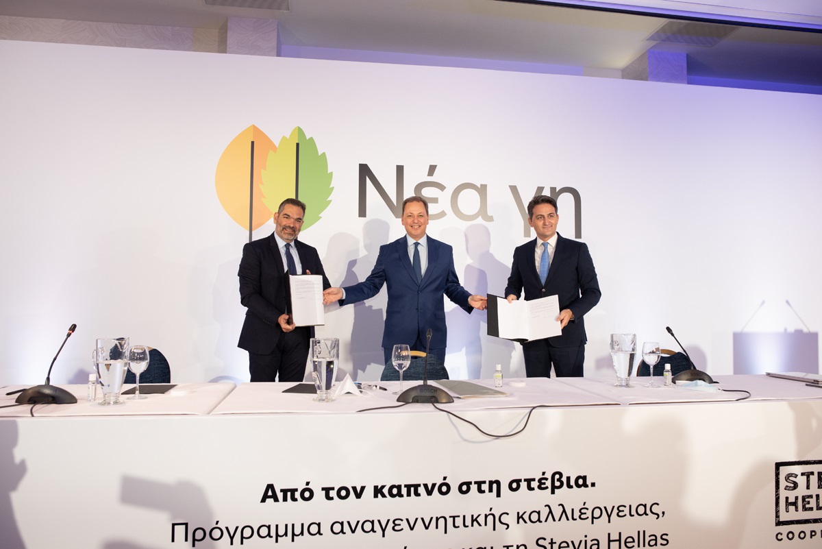Παπαστράτος: Μετάβαση καλλιεργητών από τον καπνό στη στέβια