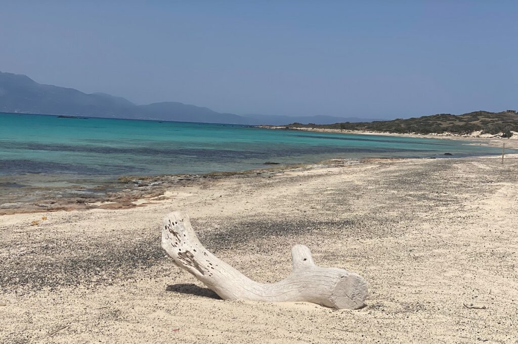 Το σχέδιο δράσης για την προστασία της νήσου Χρυσή