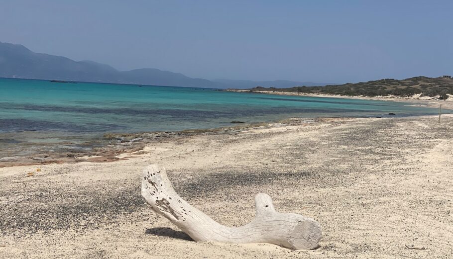 Η νήσος Χρυσή στην Κρήτη © EUROKINISSI