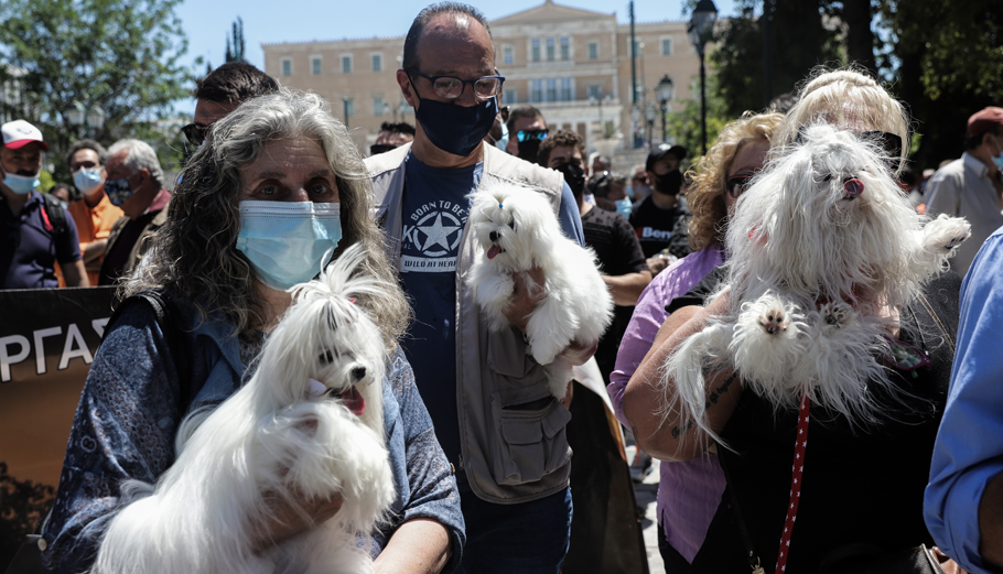 Κατοικίδια © Eurokinissi