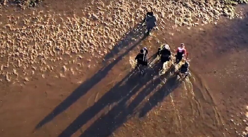 FAO: Οι χώρες να προετοιμάσουν τα συστήματα τροφίμων για νέα σοκ