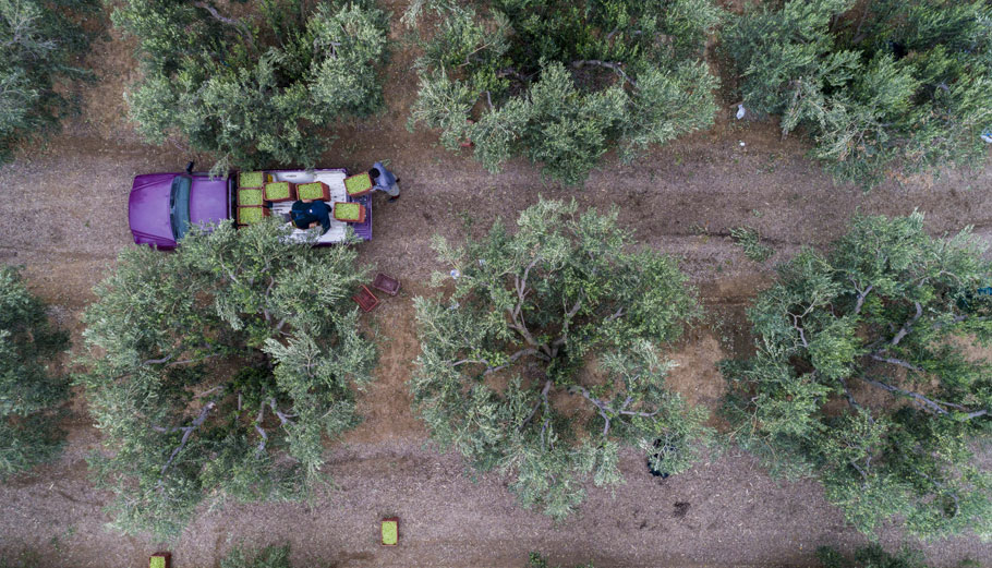 Αγρότες © MotionTeam / Eurokinissi