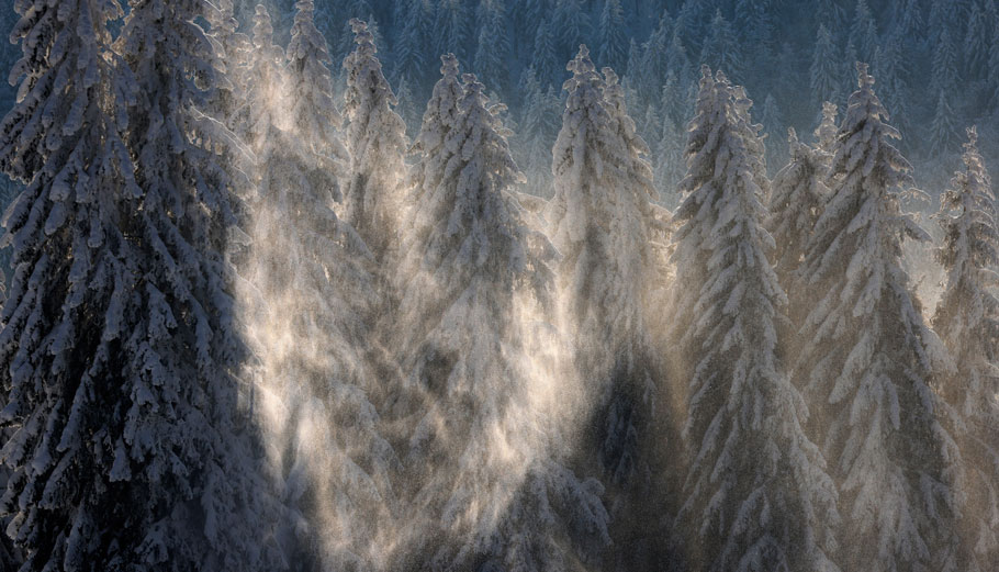 Το χιονισμένο Μαύρο Δάσος © EPA/RONALD WITTEK