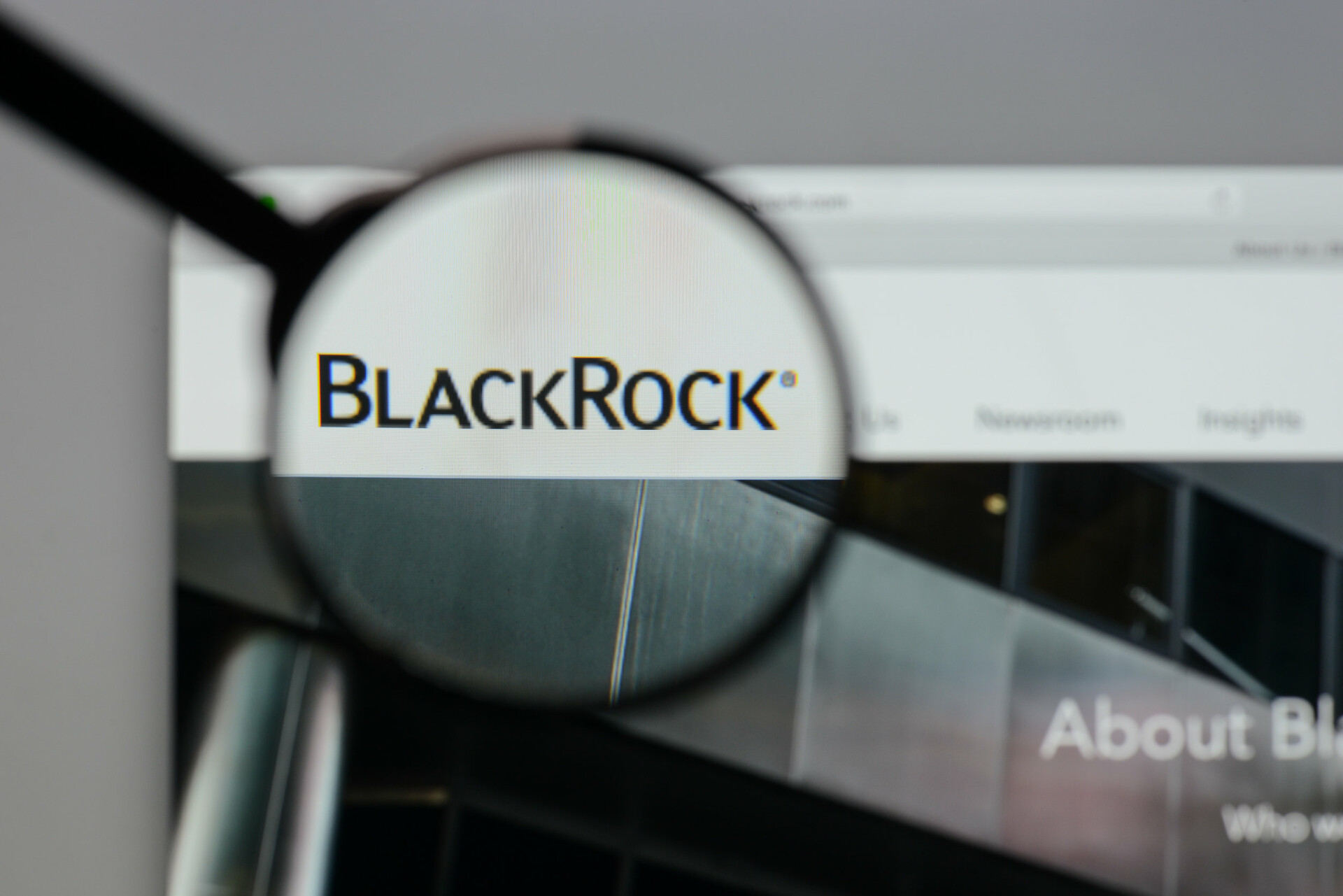 BlackRock © 123rf.com