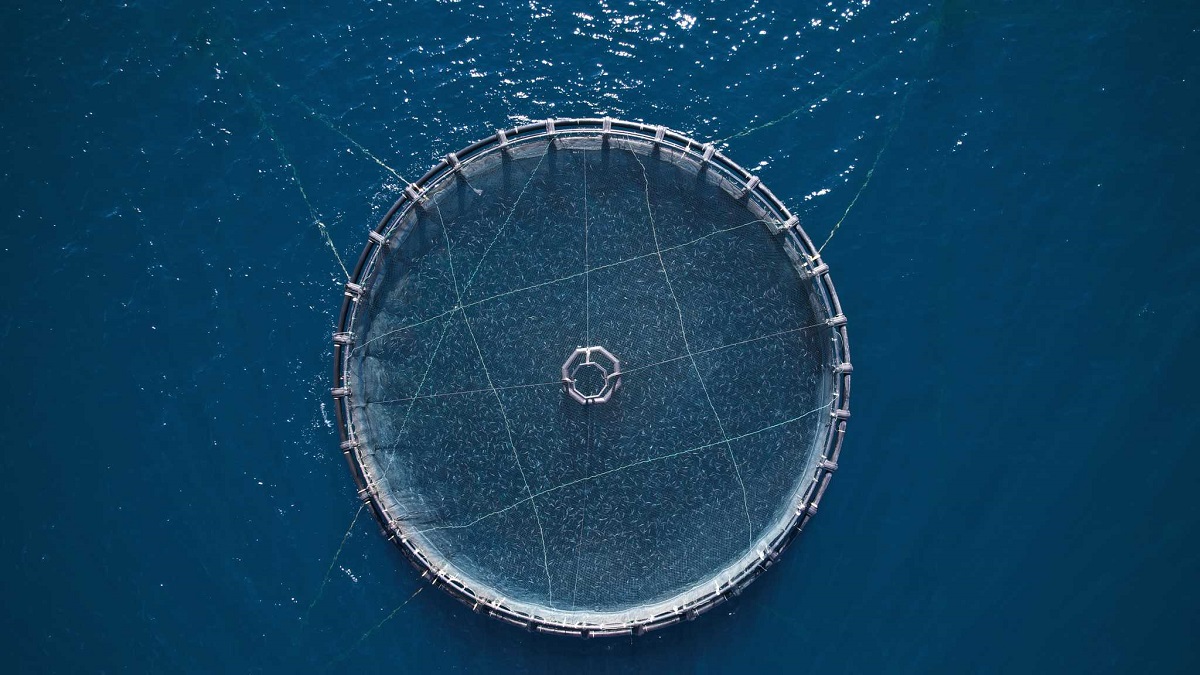 Η ΕΛΟΠΥ στις συζητήσεις του Blue Economy Forum ΙΙ