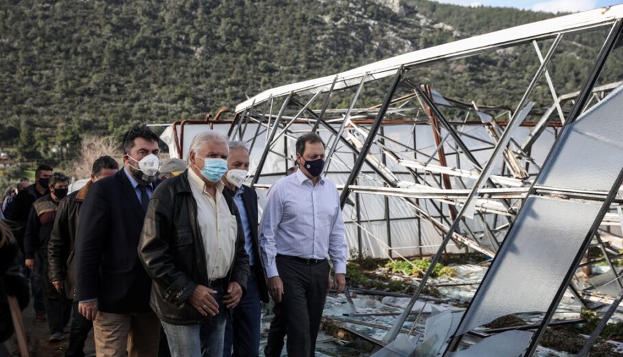 Επίσκεψη του υπουργού Αγροτικής Ανάπτυξης και Τροφίμων Σπήλιου Λιβανού στον Μαραθώνα ©Eurokinissi