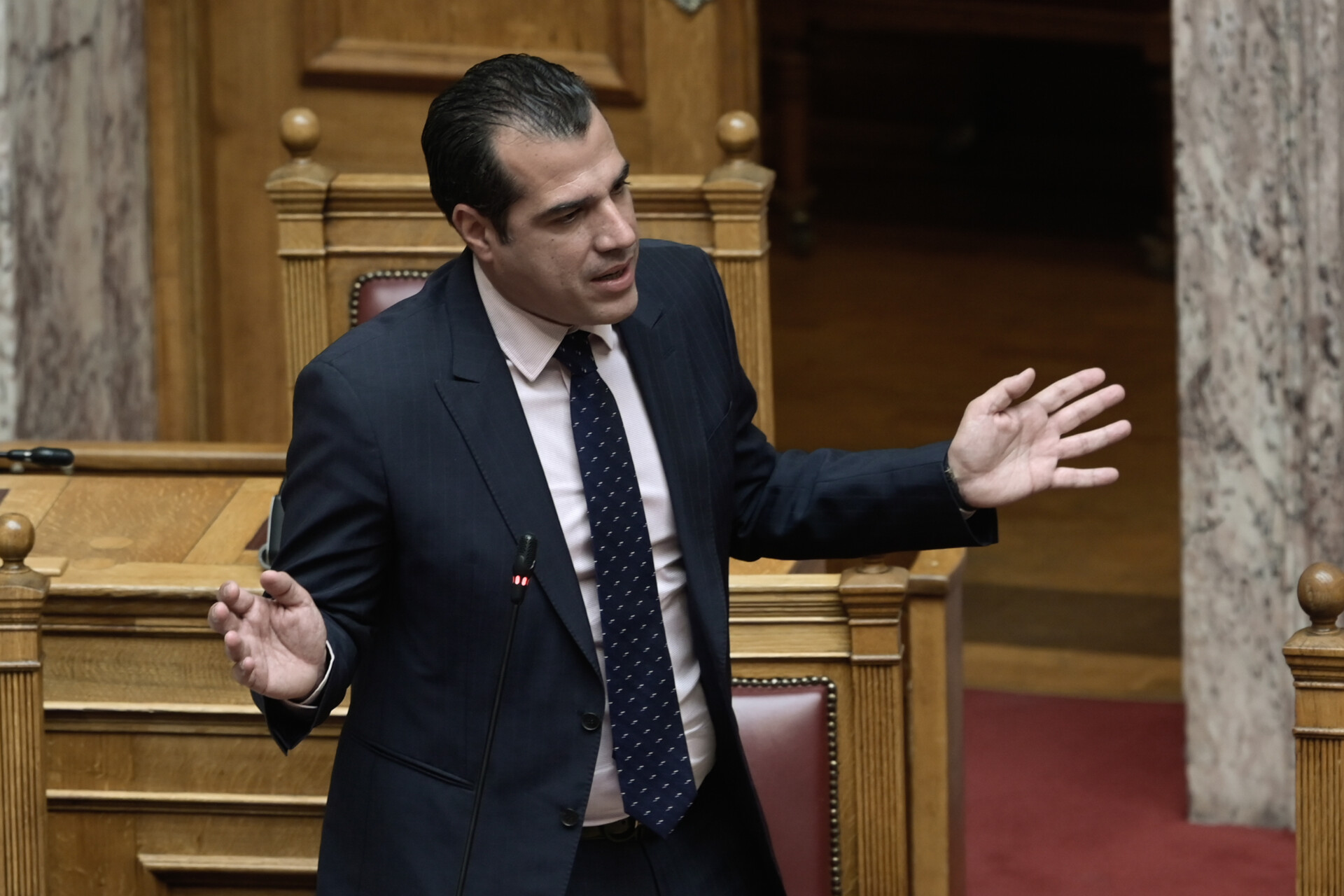 Ο Θάνος Πλεύρης © Eurokinissi