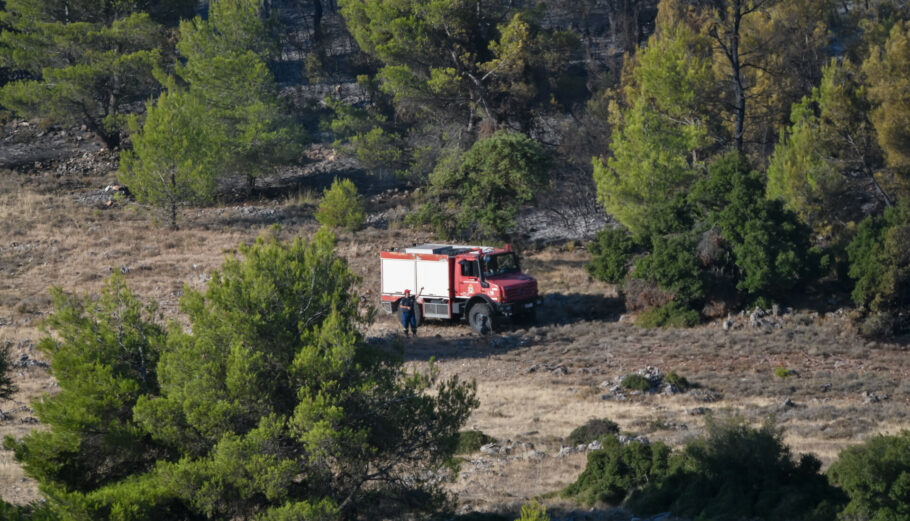 Πυροσβεστικό όχημα σε δασική έκταση © Eurokinissi