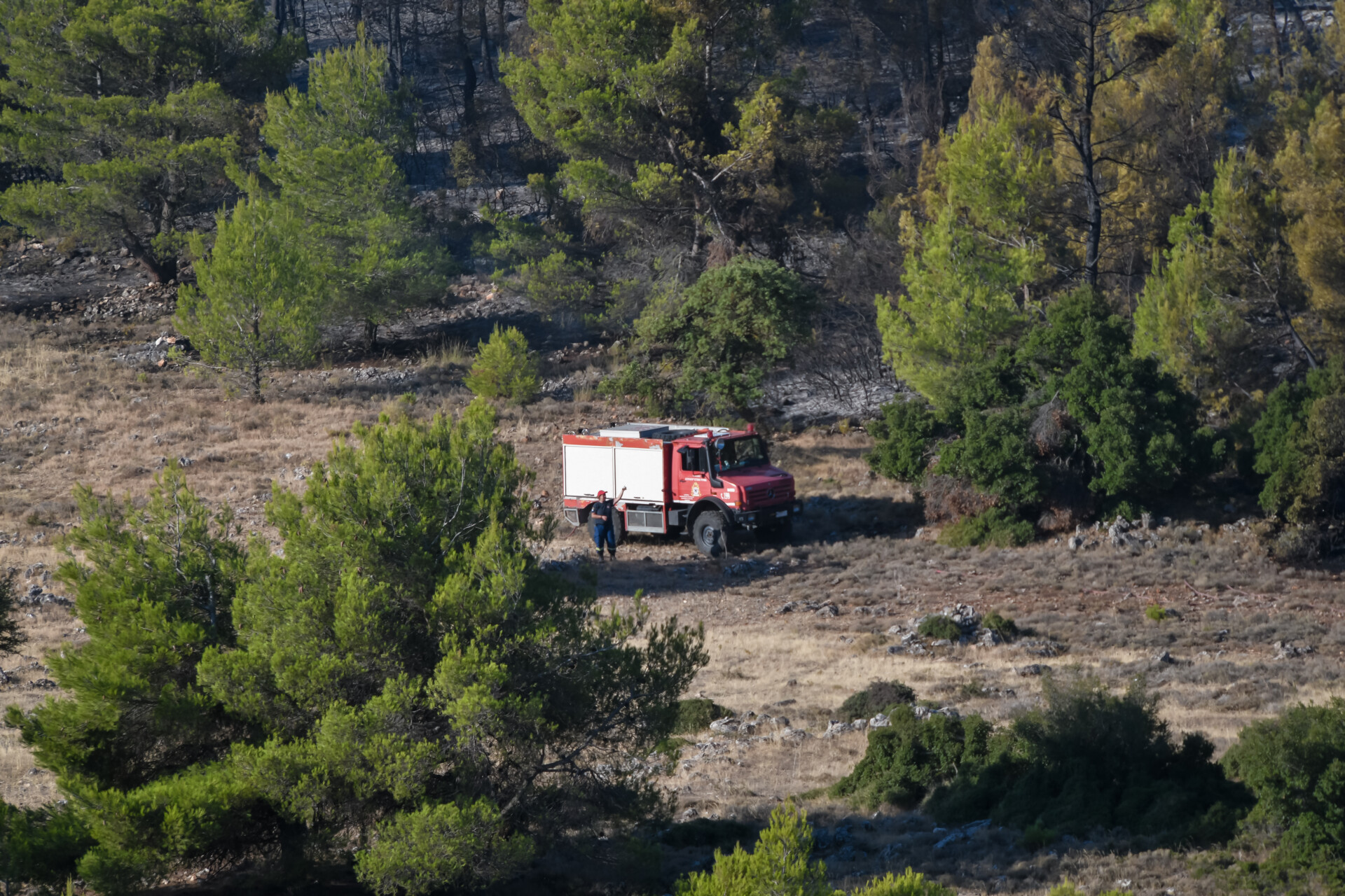 Πυροσβεστικό όχημα σε δασική έκταση © Eurokinissi
