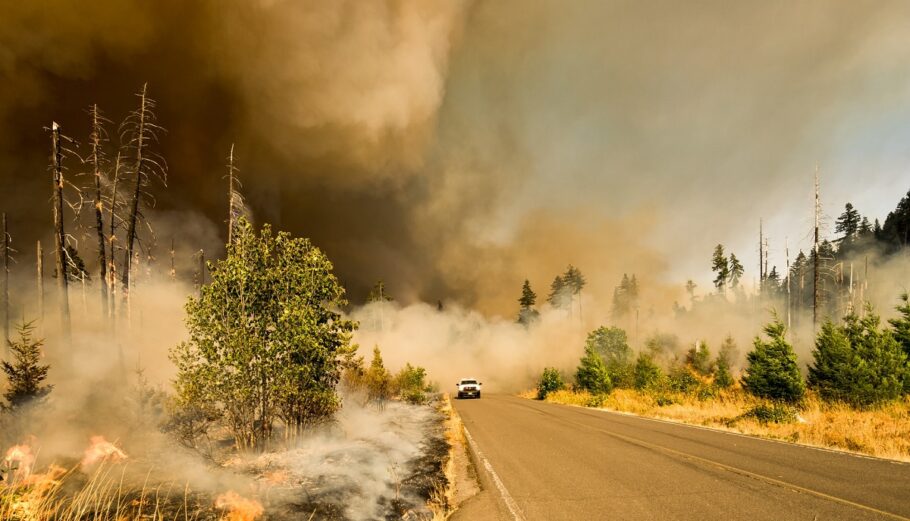 Πυρκαγιά - Φυσικές καταστροφές