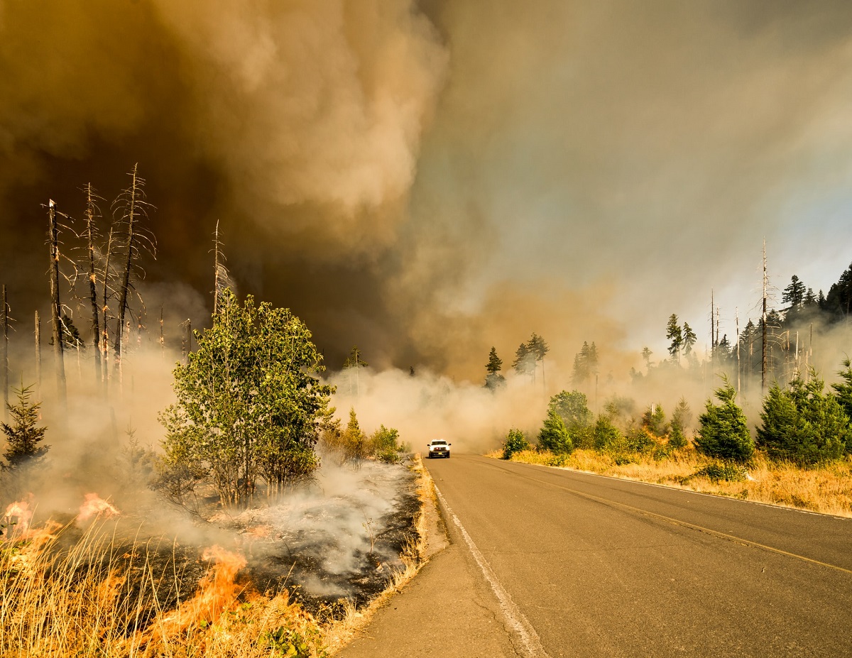 Πυρκαγιά - Φυσικές καταστροφές